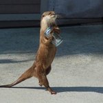 야슈달잠도못자고<b>속상</b>한데