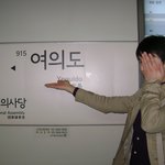 혼자서 여의도 벚꽃구경다녀왔어요 [ 사진有]