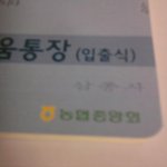 <b>삼총사</b> 이야기(사진有)