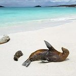 신비한 고대의 숨결이 살아숨쉬는 땅 - 갈라파고스 제도를 다녀오다...