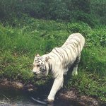 [사진有]혼자사는 여자집에 <b>침입</b>한 강간범 공개요 ㅡㅡ