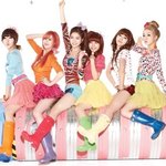 소시, 달샤벳 푹 빠졌네.... 그렇게 좋아?