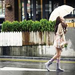 여자들만의 특권★스타들의 레인패션 모음