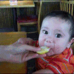 ★★이해하면 무서운 이야기(5편)★★