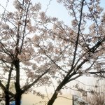 사진有    20대중반여자의 나홀로 데이트이야기..