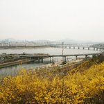 만개한 개나리가 장관인 <b>응봉산</b> 봄나들이를 함께 떠나봅시다