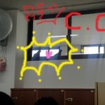 닭둘기와의 동침