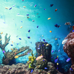 ♥3탄뿅♥♥♥♥뻔한것같지만 신선한 <b>쌤</b>과의 러브스토리?ㅋㅋ♥♥