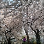 <b>예들</b>아 나왔어.!!!!!!!