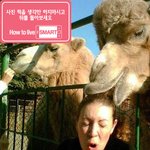 일하다 말고 심심한 lgu+ <b>폰팔</b>이??의 스마트<b>폰</b> 구매팁