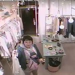 강아지를 이용한 사기행각
