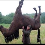 <b>제</b> <b>말</b>좀 들어주실뿐...제발요...심각합니다....