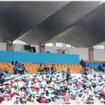 20살 여자 혼자서 다녀온 진해 군항제