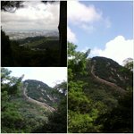 장난꾸러기 남치니..