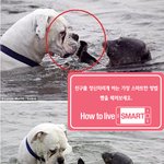 이거 안 웃기면 내가 <b>명동</b>에서 내일 오후 1시에 빅뱅춤춘다