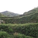 쿠네쿠네(くねくね)  [일본괴담 : 펌]