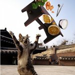 에라이 <b>세상아</b> !!
