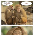 신라호텔에서 기모노 입고 칠순<b>잔치</b>?