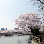 주말데이트 하기 조은 ...