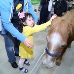 <b>지독</b>하게도 단기알바안잡힐땐?
