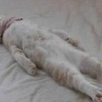 ★자...여러분들은 이글을 봅니다........(낚시아님 ㅇㅅㅇ)