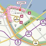 ★★벚꽃축제가서 쌩고생 하고온 바보커플
