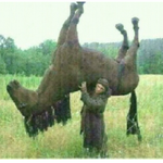 <b>제</b><b>말</b>좀들어주세여ㅠㅠㅠㅠㅠㅠㅠㅠㅠㅠㅠㅠㅠ너무힘듭니다