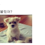 <b>재탕</b>해야지~_~ ㅋㅋ