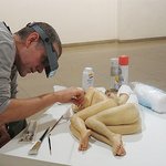 사실주의 조각가 ron mueck