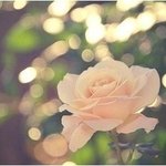 <b>약속</b>입니다...ㅋ