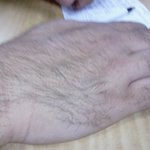 털많은 제친구를 소개해요(사진有)