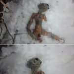 정기우의 새우주 별나라 천국 창조<b>원리</b>