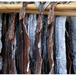 11살부터 시작된 알바 경험기