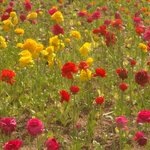 ★★★[사진有] [스압有] 다사다난 나홀로 여행기★★★