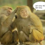 유세윤 원숭이 박진영에게 <b>도전장</b>