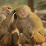 유세윤 진정 그대를 개코 원숭이로 인정합니당~~.