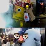 사진有★★★★제 이쁜 친구들을 소개합니다★★★★33333