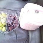 도시락 싸들고 봄<b>소풍</b>가요...