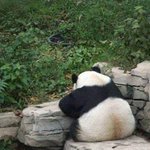숨막히는 뒤태;;<b>장난아</b>님 2탄!!!