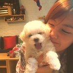 강아지 vs <b>효민</b> 티아라 여신 작렬!!!