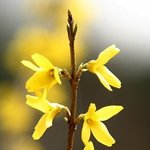 낼 모레<b>면</b> 40인데 <b>한</b> 번도 안해봤네요.