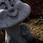 양평 수목원 출사대회 이야기