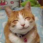 ☆★☆★외로운 솔로 흔녀 4명을 소개합니다 2탄 ☆★☆★