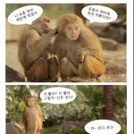 요즘 화제가 되고 있다는 <b>변비</b>시리즈입니다.. 대박 웃겨요