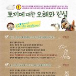 내<b>토끼</b>다 글쓴분 &amp; <b>토끼</b>키우고 싶으신분들 꼭보세요.