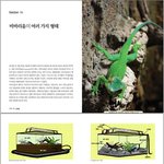 마니아시리즈 제8탄 도마뱀