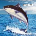 헐 나보고 똥컴이레