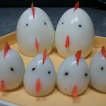 피크닉도시락 <<b>숲속</b>에 꼬꼬가족>