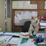 <b>미쓰</b>김! 여기 라떼 한잔만~~