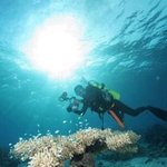 깊은 바다 속 신비로운 <b>생물</b>들, 우리에게 어떤 도움을 줄까요? :)